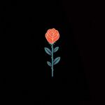 Darin♛ - @_darin_rose_ - Instagram