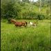 Darwuin Troya - Facebook