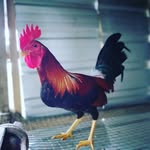 Dario Abril - @dario.abril.549 - Instagram