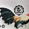 Dario Macias - @dario.macias21 - TikTok
