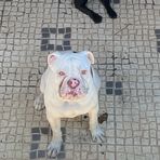 Dario Moniz - Facebook