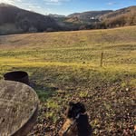 Dario Potočki - @potockidario - Instagram