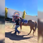 Dario Sena - @dario.sena.376 - Instagram