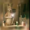 Darío Solis - @dariosolis1401 - TikTok