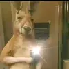 dario torrez - @dariozigatorres - TikTok
