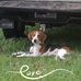 Darin Dixon - Facebook