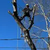 Darin Flores - @darin.flores - TikTok