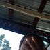 Darion King - Facebook