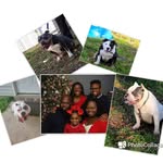Darion Deez Blue Littleton - @darionlittleton - Instagram