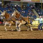 Darin Palmer - @darin.palmer.7370 - Instagram