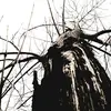 Darin Tucker215 - @darint69 - TikTok