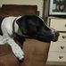 Darren Warne - Facebook