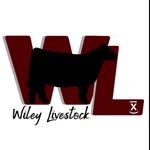 Darin Wiley - @scotchcomb - Instagram