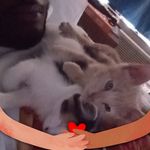 Darious Johnson - @darious.johnson.524 - Instagram