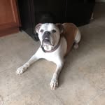 Darious Jones - @darious_darrell - Instagram