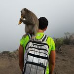 Daris Hechevarria - @manateefish - Instagram