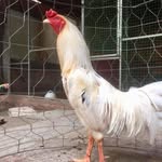 វ៉ាន ដារិទ្ធ - @darith.van - Instagram