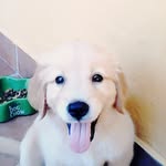 lesli daritza lopez  valenzuel - @leslidaritza - Instagram