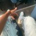 Darius Adams - Facebook