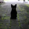 dariusaikens5754 - @dariusaikens5754 - TikTok