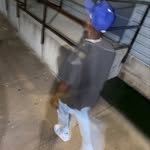 Kobi - @dariusalston_ - Instagram