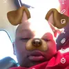 Darius_ashley4 - @darius_ashley4 - TikTok