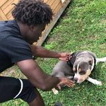 Darius Cohen - @dariusorblack - Instagram