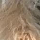 dariuscollins - @dariuscollins02 - TikTok