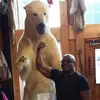 Darius Crenshaw - @darius.crenshaw - TikTok