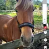Darius daniel - @darius.daniel17 - TikTok