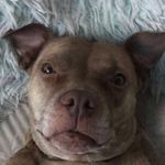 Darius - @darius_dean - Instagram