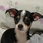 Darius - @dariusdelgado1 - Instagram