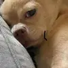 Darius Delgado - @darius.delgado - TikTok