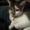 Darious Dempsey - @notfunnyasyouthink - TikTok