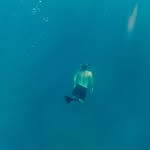 Darius Despain - @dariusdespain - Instagram