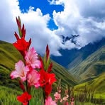 Doriss Doreen - Facebook