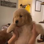 Darius Drake - Facebook