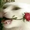 Darius Duncan - @dariusduncan691 - TikTok
