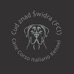 Dariusz Stedler - @stedlerdariusz - Instagram