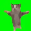 DariusEstrada - @stacezjwbbt - TikTok