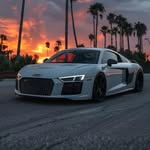 Ilie Șandru - @darius_flowers_ - Instagram