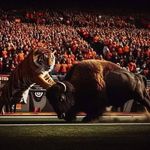 Darius Fogle - @internationalfogle - Instagram