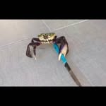 darius - @darius_fortnit_55 - Instagram
