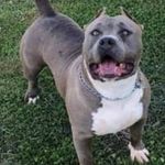 Darius Gordon - @darius.gordon.31149 - Instagram