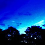 Darius Gordon-Pullar - @dariusgp2007 - Instagram