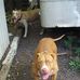 Darius Howell - Facebook