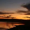 Darius Jansen - @darius.jansen1 - TikTok