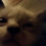 darius keith - @dakpoi123455 - Instagram