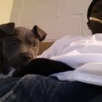 Darius Keys - Facebook