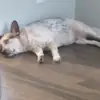 Darius Knight - @darius.knight3 - TikTok
